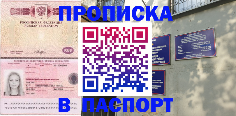прописка в Кувшиново